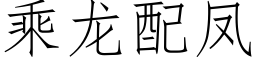 乘龍配鳳 (仿宋矢量字庫)