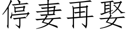 停妻再娶 (仿宋矢量字庫)