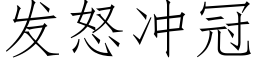 發怒沖冠 (仿宋矢量字庫)