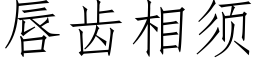 唇齿相须 (仿宋矢量字库)