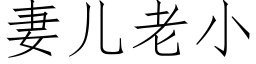 妻兒老小 (仿宋矢量字庫)