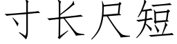 寸長尺短 (仿宋矢量字庫)