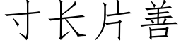 寸长片善 (仿宋矢量字库)