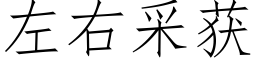 左右采获 (仿宋矢量字库)