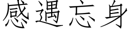 感遇忘身 (仿宋矢量字库)