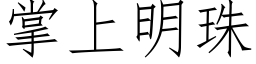 掌上明珠 (仿宋矢量字库)