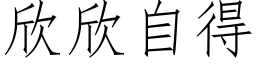 欣欣自得 (仿宋矢量字庫)