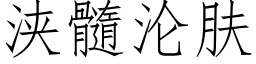 浃髓淪膚 (仿宋矢量字庫)