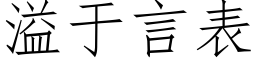 溢于言表 (仿宋矢量字库)