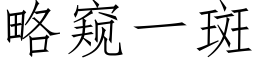 略窺一斑 (仿宋矢量字庫)