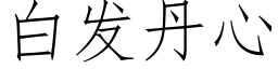 白發丹心 (仿宋矢量字庫)