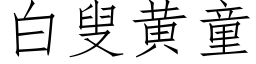 白叟黃童 (仿宋矢量字庫)