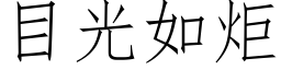 目光如炬 (仿宋矢量字庫)