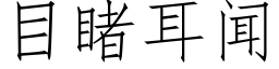 目睹耳聞 (仿宋矢量字庫)