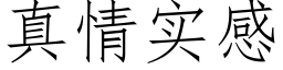 真情实感 (仿宋矢量字库)