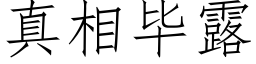 真相畢露 (仿宋矢量字庫)