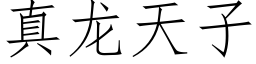 真龙天子 (仿宋矢量字库)