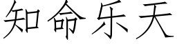 知命樂天 (仿宋矢量字庫)