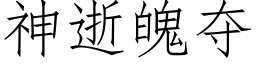 神逝魄奪 (仿宋矢量字庫)