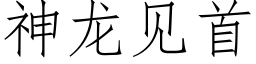 神龍見首 (仿宋矢量字庫)