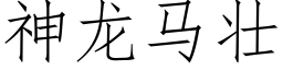 神龍馬壯 (仿宋矢量字庫)