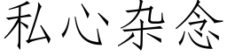 私心雜念 (仿宋矢量字庫)