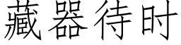 藏器待时 (仿宋矢量字库)