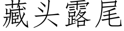 藏头露尾 (仿宋矢量字库)