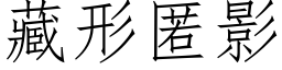 藏形匿影 (仿宋矢量字庫)