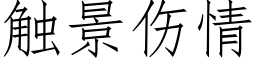 觸景傷情 (仿宋矢量字庫)