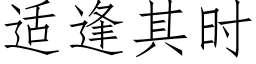 适逢其時 (仿宋矢量字庫)