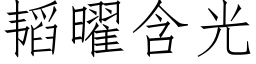 韬曜含光 (仿宋矢量字庫)