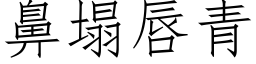 鼻塌唇青 (仿宋矢量字庫)