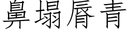 鼻塌脣青 (仿宋矢量字库)