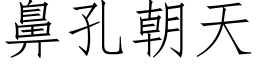 鼻孔朝天 (仿宋矢量字庫)