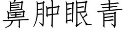 鼻肿眼青 (仿宋矢量字库)