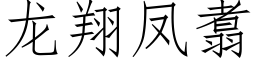 龍翔鳳翥 (仿宋矢量字庫)