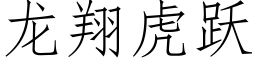 龍翔虎躍 (仿宋矢量字庫)