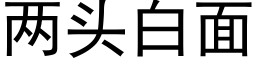 兩頭白面 (黑體矢量字庫)