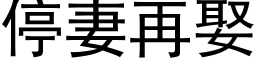 停妻再娶 (黑體矢量字庫)