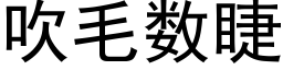 吹毛数睫 (黑体矢量字库)