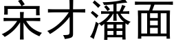 宋才潘面 (黑体矢量字库)