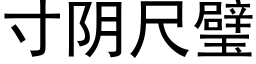 寸陰尺璧 (黑體矢量字庫)