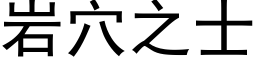 岩穴之士 (黑體矢量字庫)