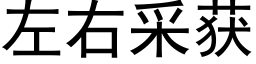 左右采获 (黑体矢量字库)