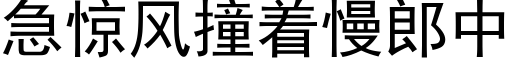 急驚風撞着慢郎中 (黑體矢量字庫)