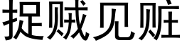 捉贼见赃 (黑体矢量字库)