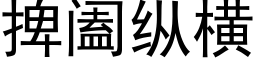 捭阖纵横 (黑体矢量字库)