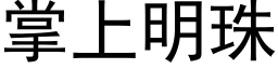 掌上明珠 (黑體矢量字庫)