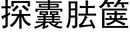 探囊胠箧 (黑体矢量字库)